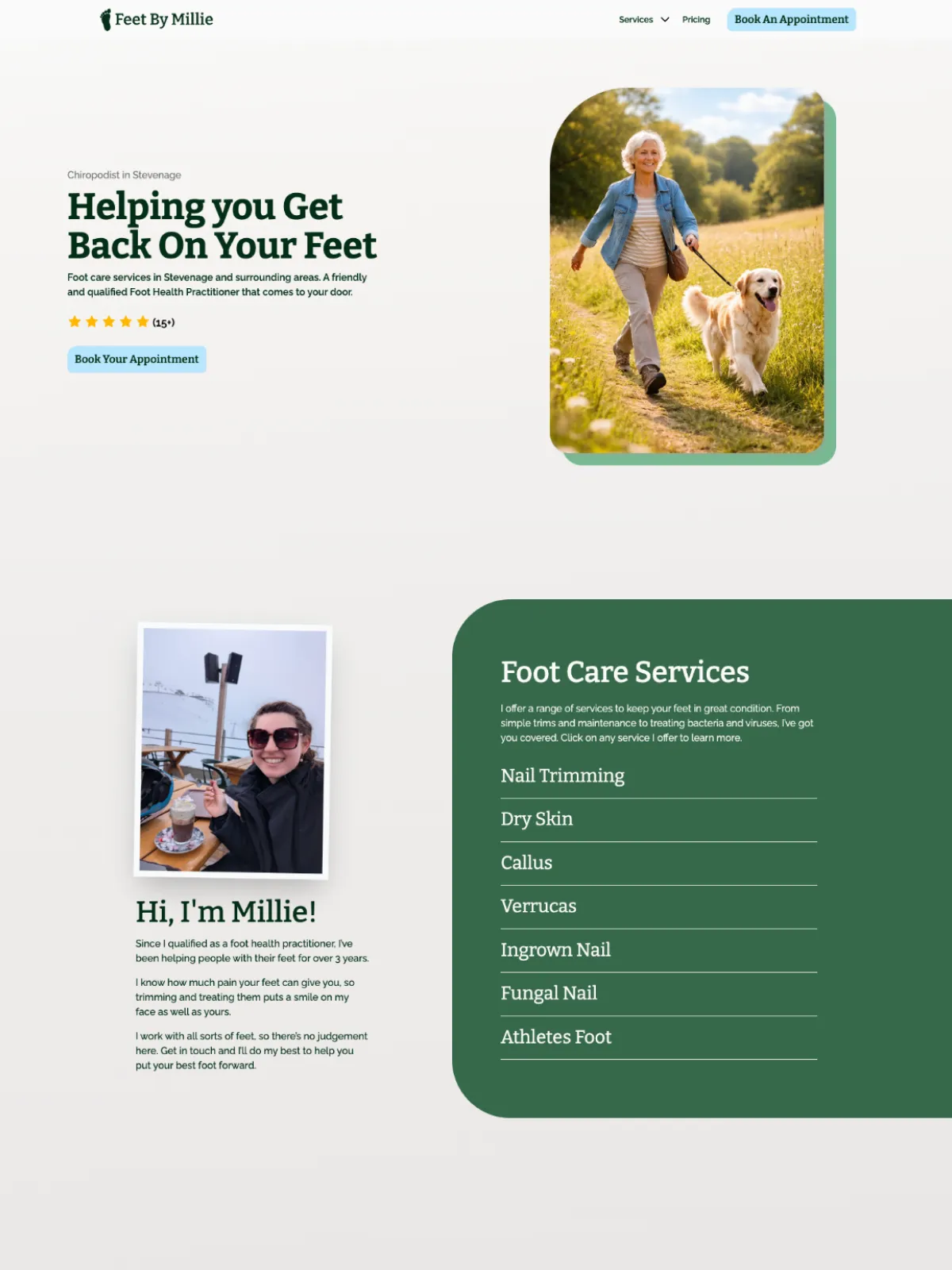 Oranjade Cleaning Website.