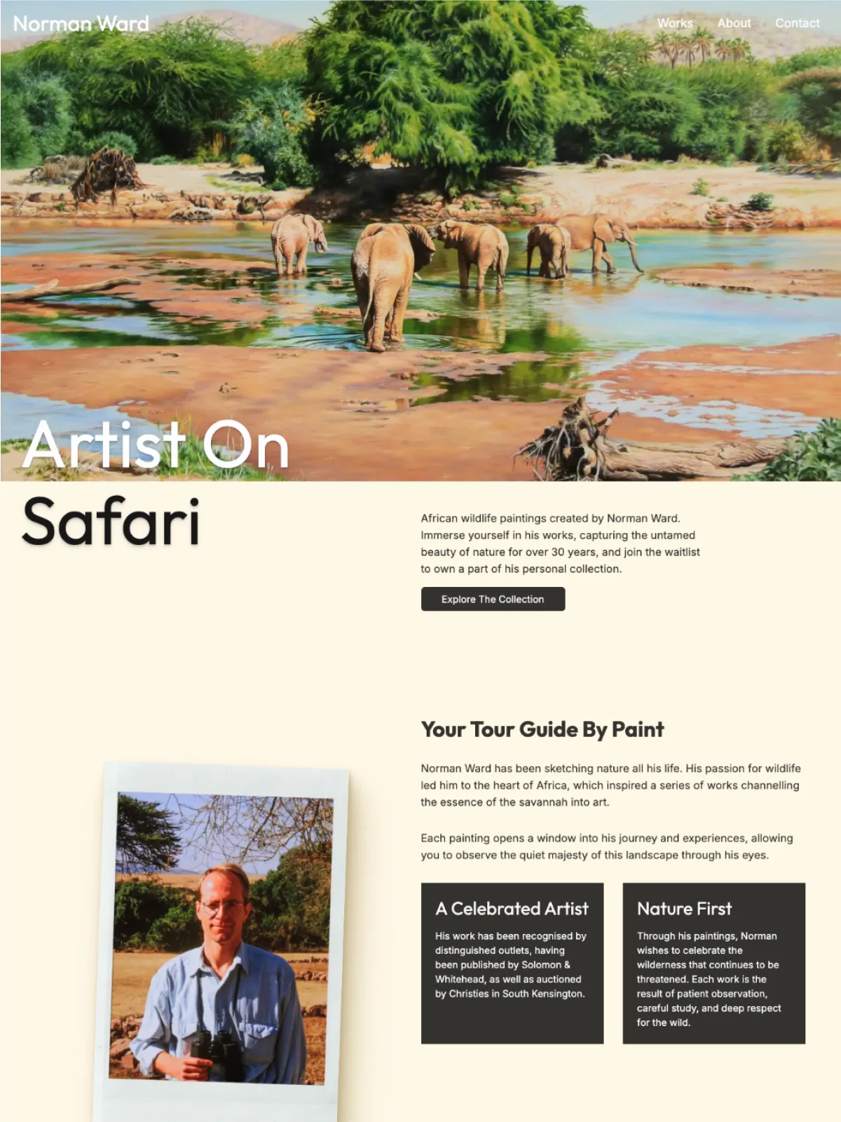 Oranjade Cleaning Website.